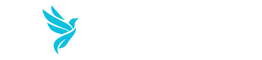 41_20250411_225642_0040